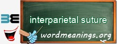 WordMeaning blackboard for interparietal suture